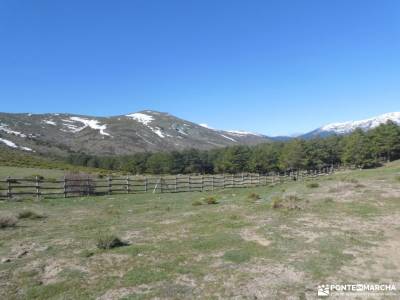 Perdiguera (El Marraz) - Altos de la Morcuera; escapadas comunidad de madrid excursiones gredos club